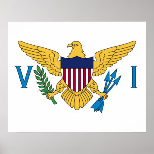 Flag of the United States Virgin Islands Poster