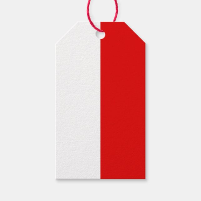 Flag of Thuringia Gift Tags (Front)