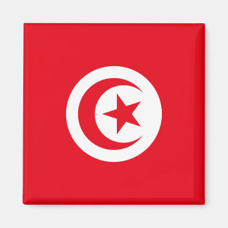 Flag of Tunisia Magnet
