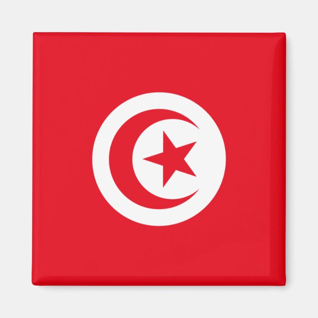 Flag of Tunisia Magnet (Front)