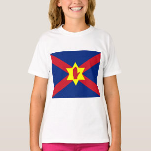 Flag of Ulster Nation (Northern Ireland) T-Shirt