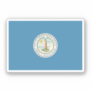 Flag of Virginia Beach, Virginia