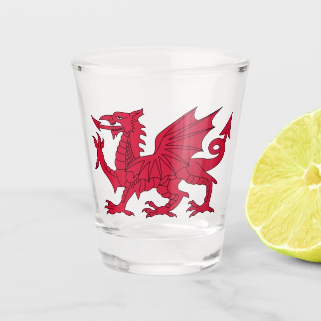 Flag of Wales Shot Glass (Front)