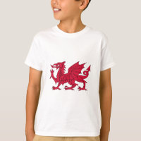 Flag of Wales - The Red Dragon - Baner Cymru