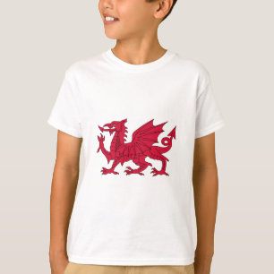 Flag of Wales - The Red Dragon - Baner Cymru T-Shirt