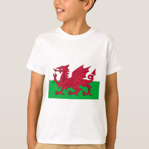 Flag of Wales - The Red Dragon - Baner Cymru T-Shirt