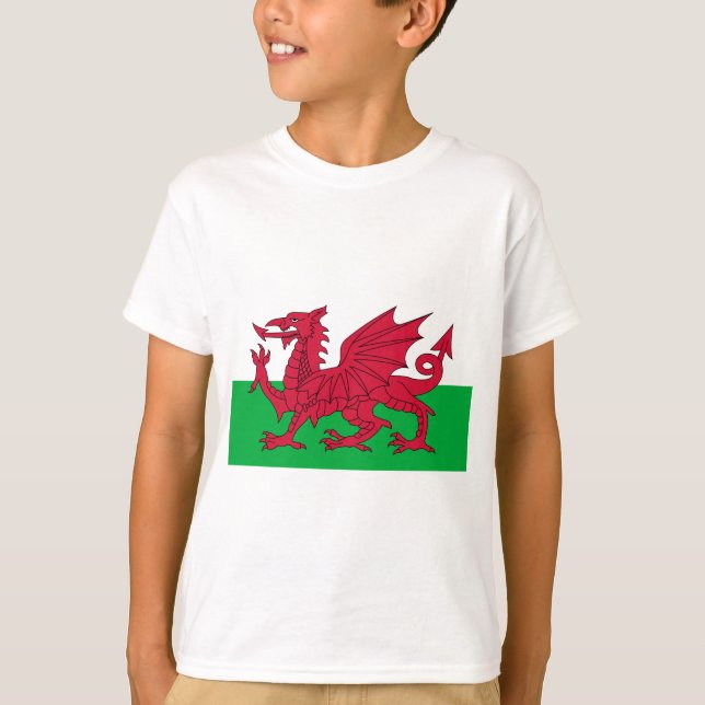 Flag of Wales - The Red Dragon - Baner Cymru T-Shirt (Front)