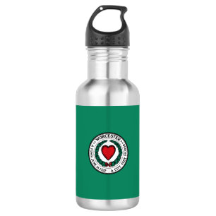 Flag of Worcester, Massachusetts Stainless Steel W 532 Ml Water Bottle