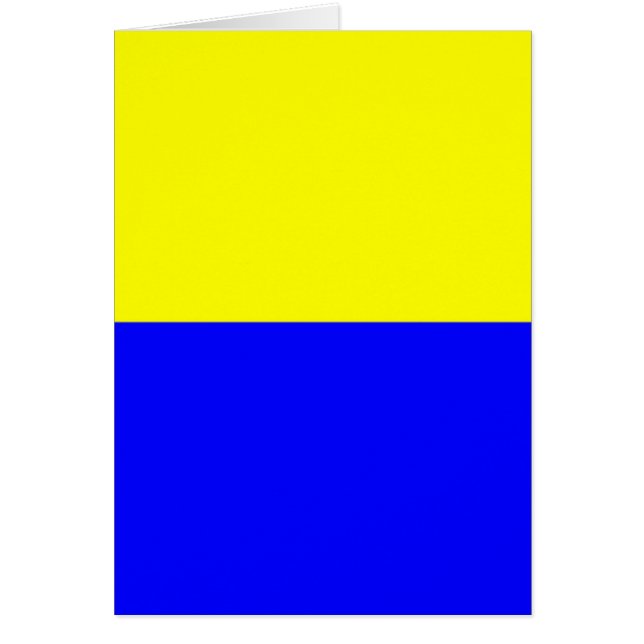 Flag of Zandvoort (Front)