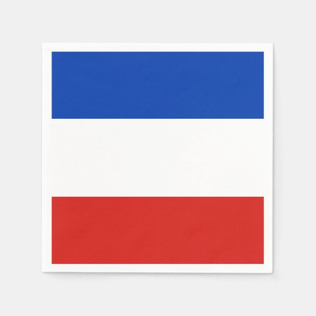 Flag Schleswig-Holstein Paper Napkins (Front)