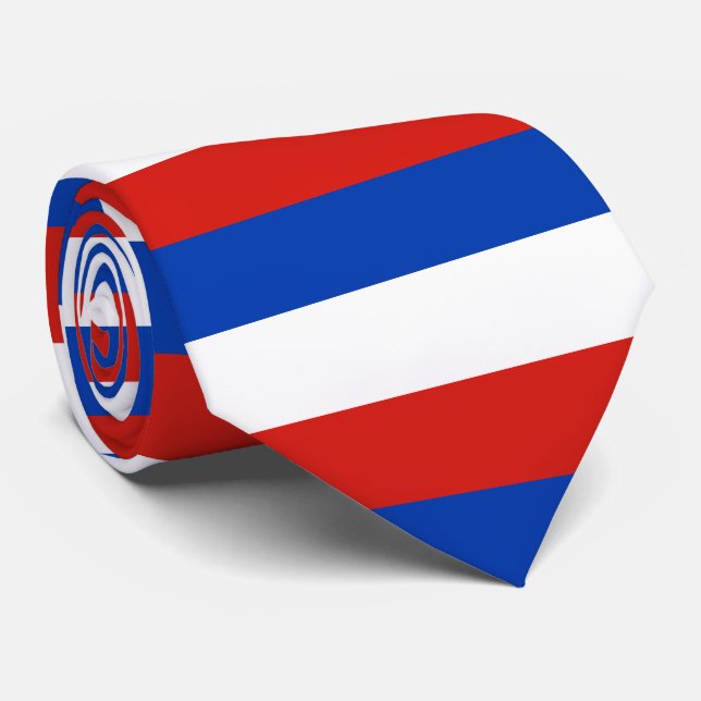 Flag Schleswig-Holstein Tie (Rolled)