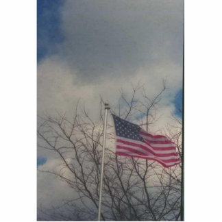 flag standing photo sculpture