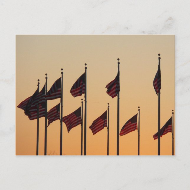 Flags at Sunset American Patriotic USA Postcard (Front)