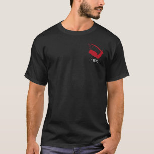 Flags of Texas Independence T-Shirt