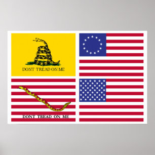 Flags Of The American Revolution Poster