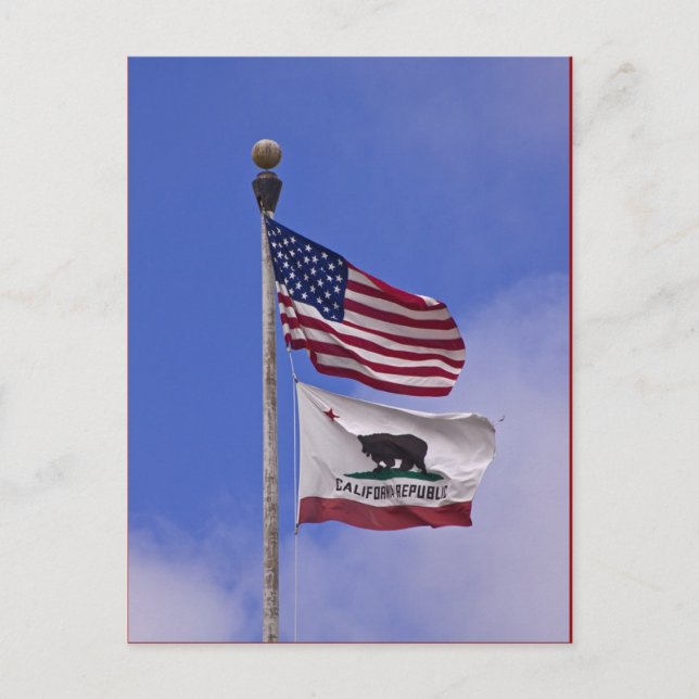 Flags: USA and state of California Postcard (Front)