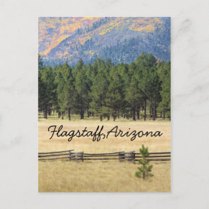 Flagstaff, Arizona colourful field Postcard