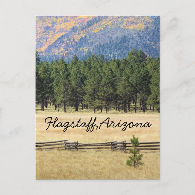 Flagstaff, Arizona colourful field Postcard (Front)