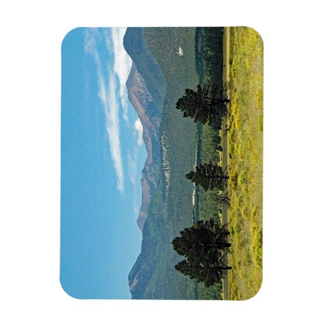 Flagstaff, Arizona Magnet (Vertical)