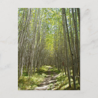 Flagstaff aspen postcard