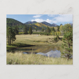 Flagstaff Locket Meadow Postcard