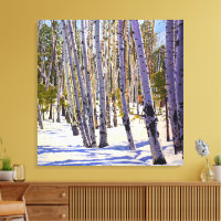 Flagstaff Winter Aspen Landscape – Daniel Fishback