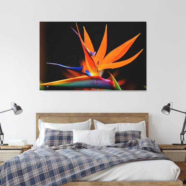 Flamboyant Bird of  Paradise Flower Canvas Print (Insitu(Bedroom))