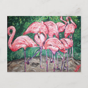 "Flamboyant Flamingos" Postcard