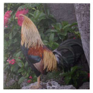 Flamboyant Rooster trivet