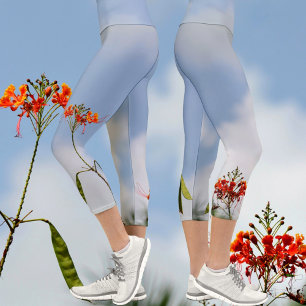 Flamboyant Royal Poinciana Flowers on Blue Capri Leggings