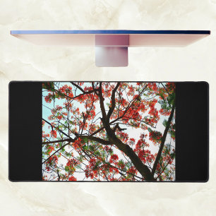 Flamboyant Royal Poinciana Tree Photographic Black Desk Mat