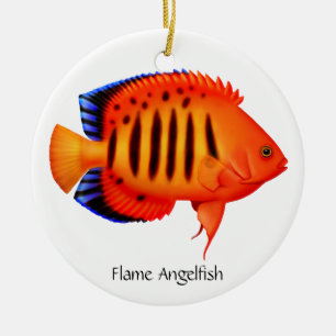 Flame Angelfish Customisable Ornament