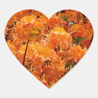 Flame Azalea Flowers Heart Sticker