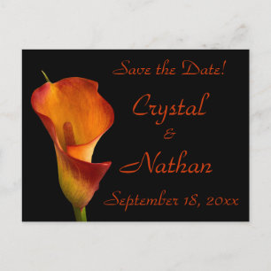 Flame Calla Lily Announcement Postcard