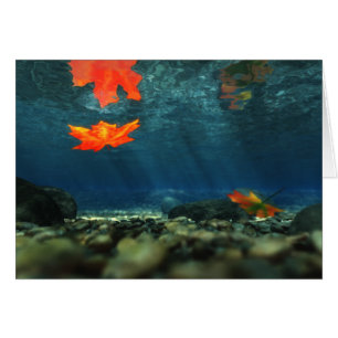 Flame in the Water Card