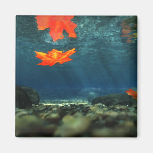 Flame in the Water Magnet
