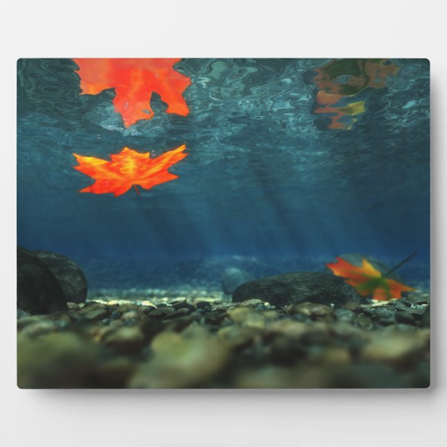 Flame in the Water Picture Plaque (Front)