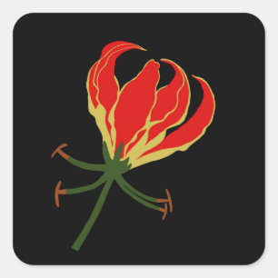 Flame Lily Gloriosa Square Sticker