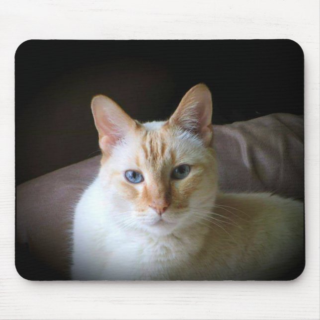 Flame Point Siamese Cat with Beautiful Blue Eyes Mouse Mat (Front)