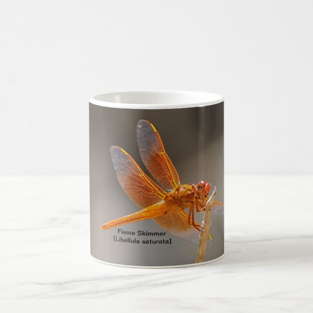 Flame Skimmer Mug (Center)