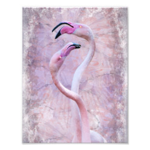 Flamenco Print