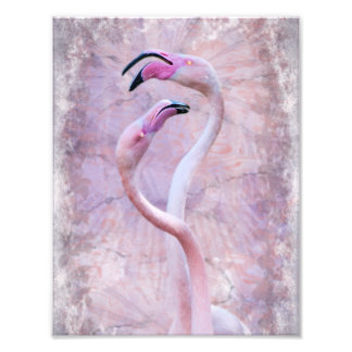 Flamenco Print