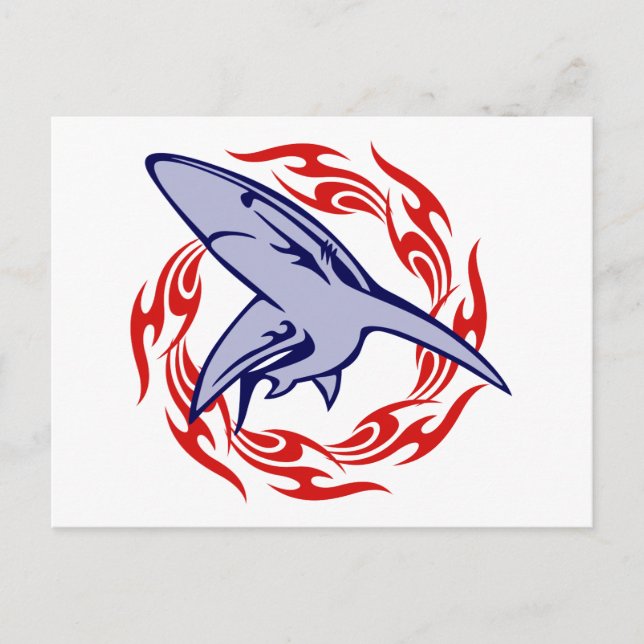 Flames and Shark Postcard (Front)