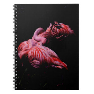 Flames in the Darkness Notebook