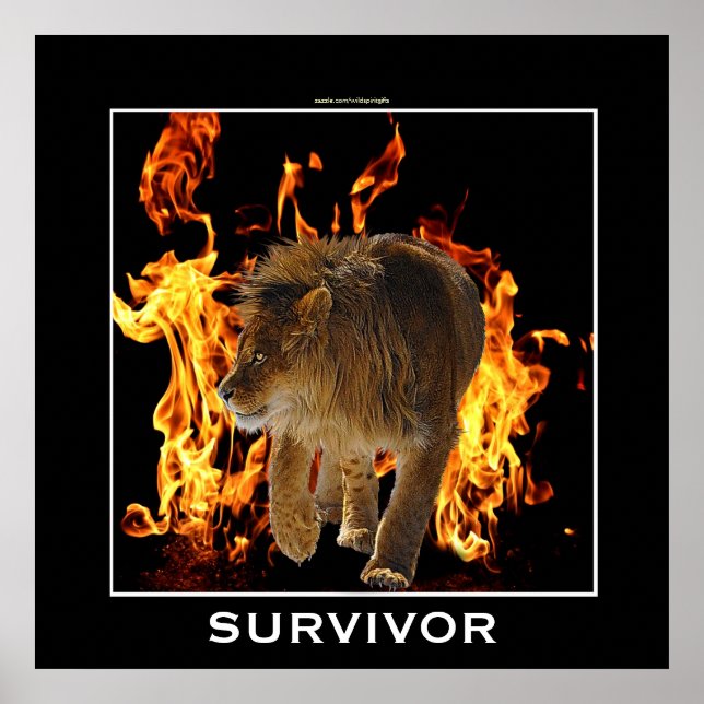 Flaming Fire & Lion SURVIVOR Motivational Poster (Front)