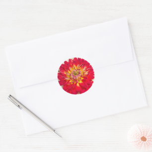 Flaming Red And Yellow Dahlia Sticker