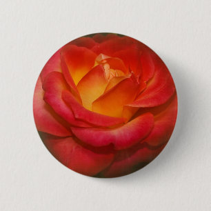 Flaming Rose on Parchment 6 Cm Round Badge