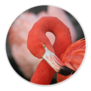 Flamingo 001 ceramic knob
