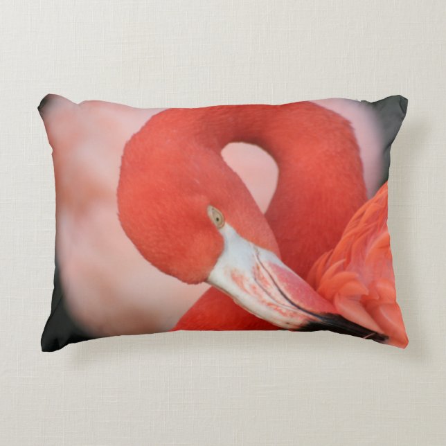 Flamingo 001 decorative cushion (Front)