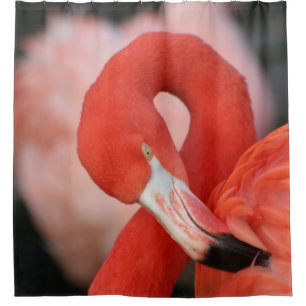 Flamingo 001 shower curtain